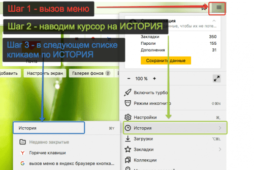 История в Яндекс Браузер