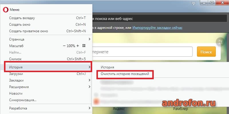 Пункт очистки истории посещения.